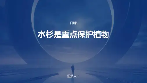 水杉是重点保护植物