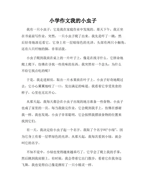 小学作文我的小虫子