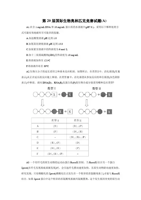第20届国际生物奥林匹克竞赛试题(A)详解