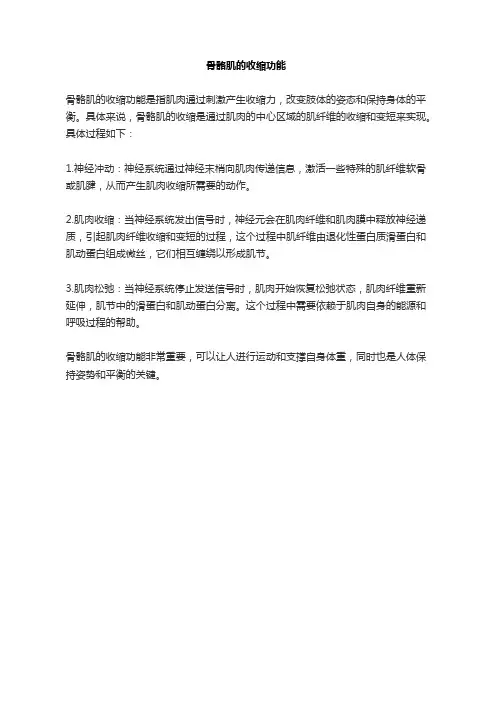 骨骼肌的收缩功能