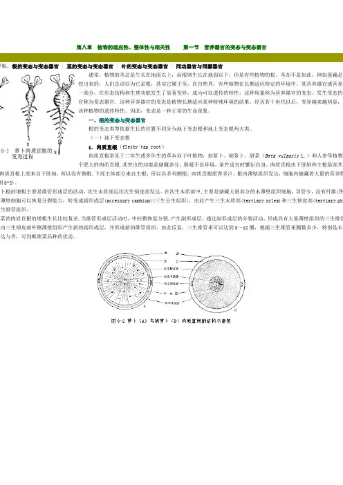 2019年第八章植物的适应性、整体性与相关性.doc