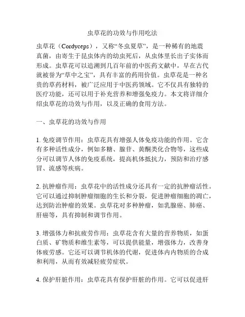 虫草花的功效与作用吃法