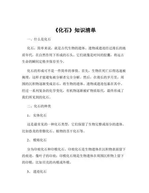 《化石》知识清单