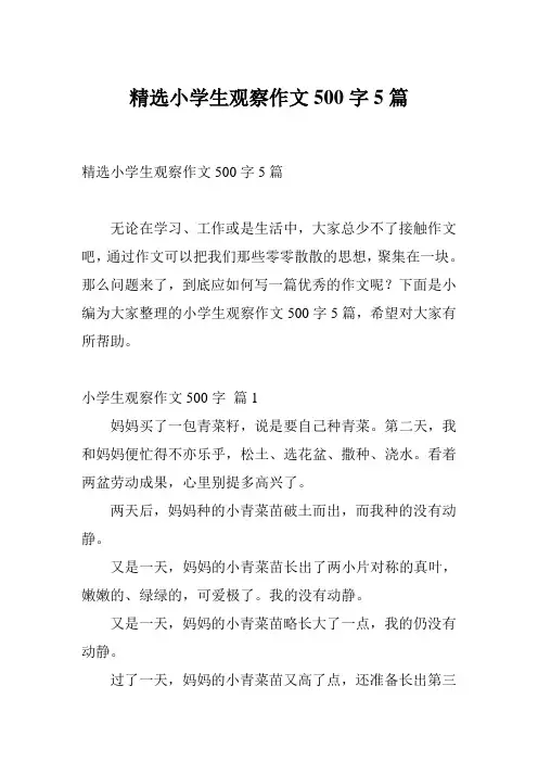 精选小学生观察作文500字5篇