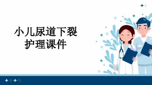 小儿尿道下裂护理课件