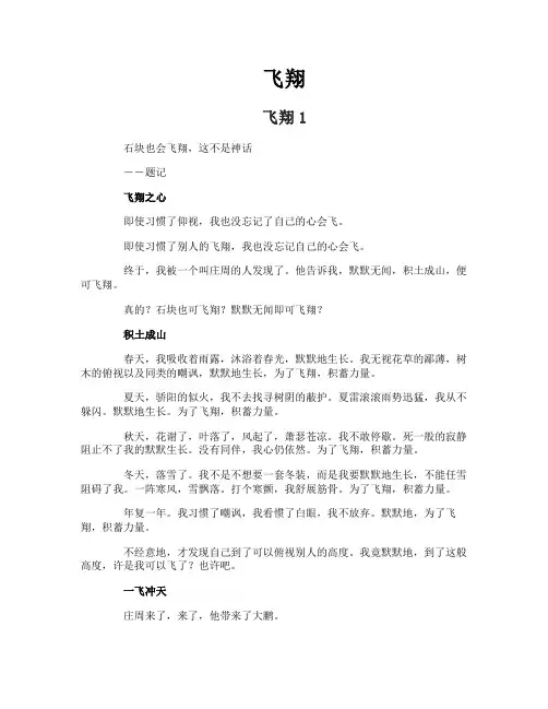 飞翔