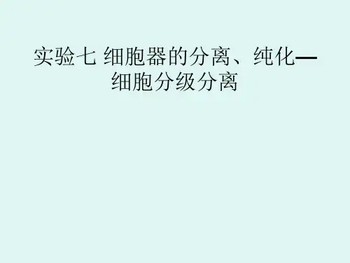 细胞器的分级分离