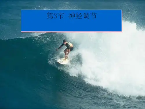3.3神经调节—浙教版八年级科学上册课件