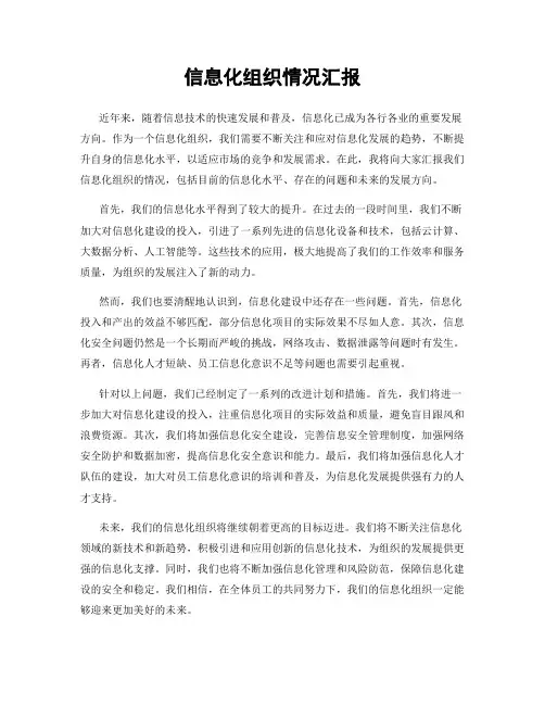 信息化组织情况汇报