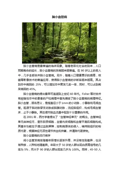 脑小血管病
