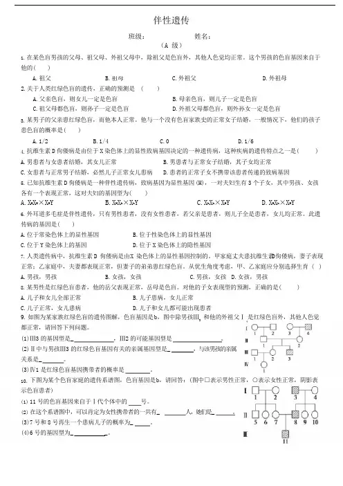 2.3 伴性遗传-人教版(2019)高中生物必修二练习题 (word版)