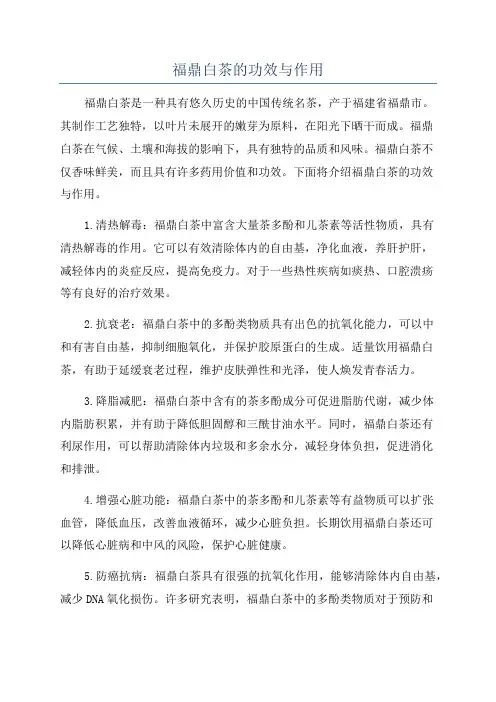 福鼎白茶的功效与作用