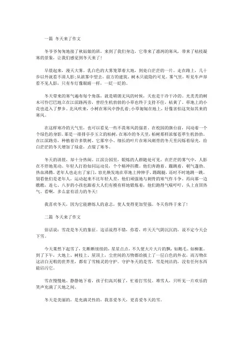 冬天来了300字【优秀作文】十篇