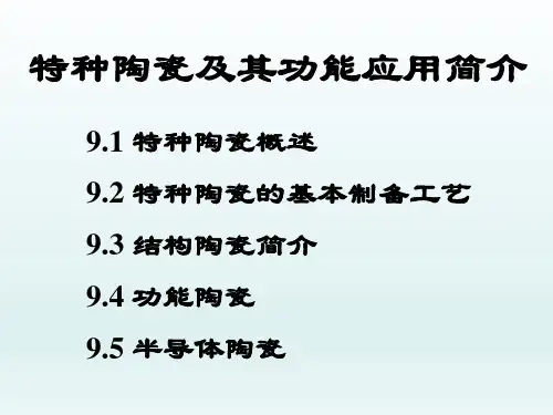 特种陶瓷及其功能应用简介