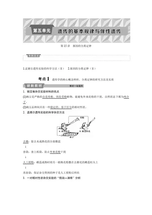 高中生物一轮复习讲义：第5单元1第15讲基因的分离定律Word版含答案