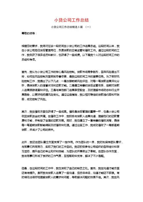 小贷公司工作总结5篇