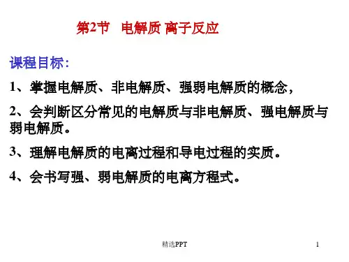 《电解质高中化学》PPT课件