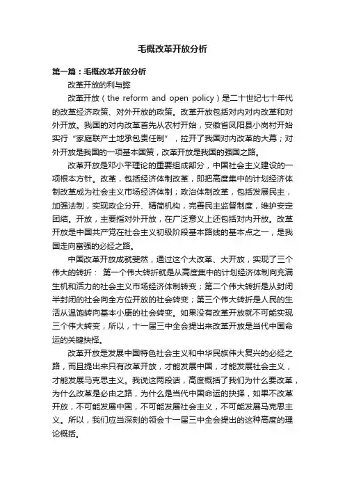 毛概改革开放分析