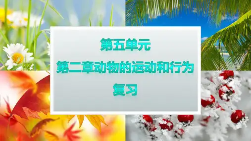 人教版八年级生物上册动物的运动和行为  复习课件