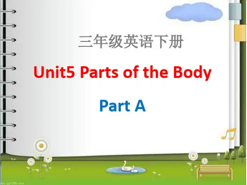 闽教版英语三年级下册Unit5PartsoftheBodyPartA课件