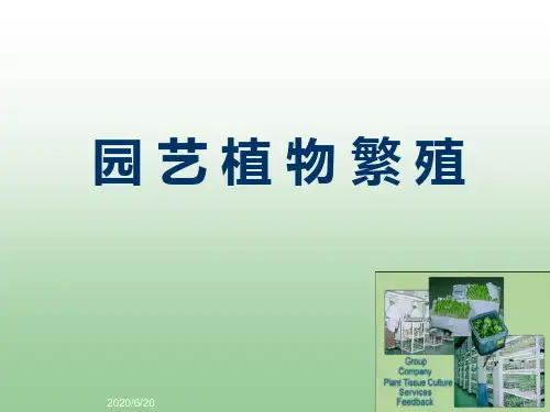 园艺植物繁殖2  华中农业大学园艺概论讲义
