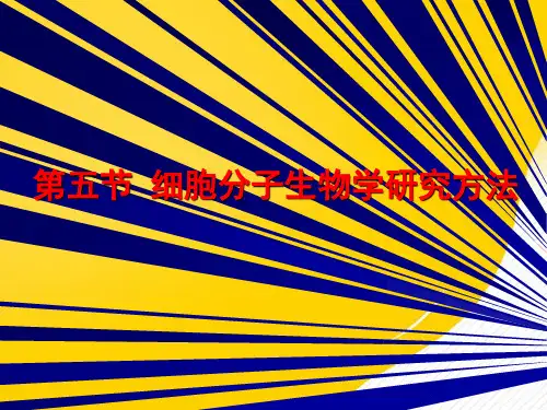 [正式版]细胞分子生物学研究方法ppt资料