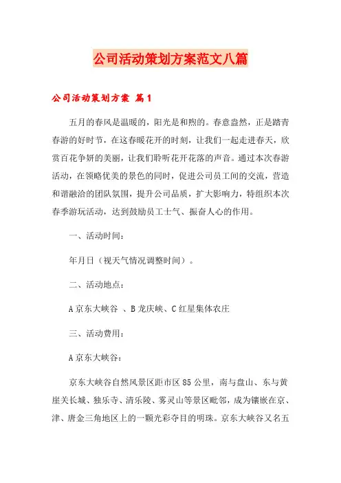 公司活动策划方案范文八篇