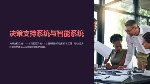 决策支持系统与智能系统