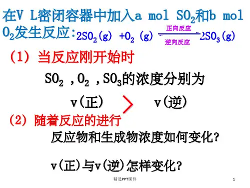 化学平衡状态判断ppt课件