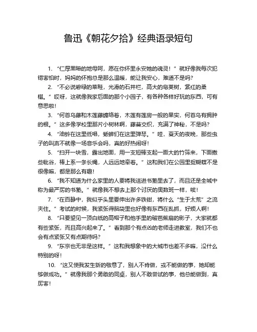 鲁迅《朝花夕拾》经典语录短句