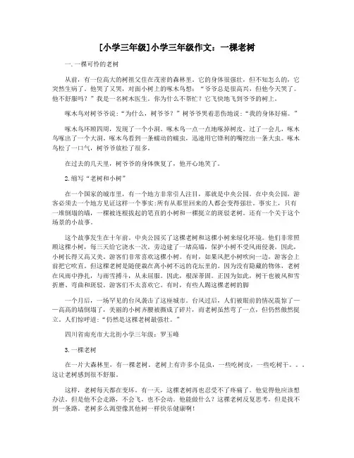 [小学三年级]小学三年级作文：一棵老树