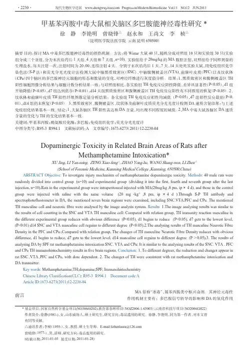 甲基苯丙胺中毒大鼠相关脑区多巴胺能神经毒性
