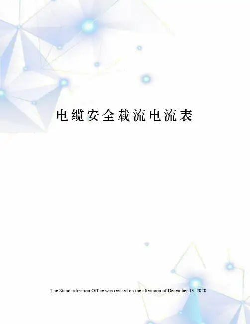 电缆安全载流电流表