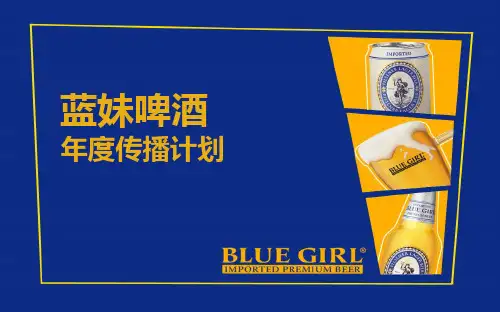 蓝妹啤酒年度传播宣传的的策划的方案