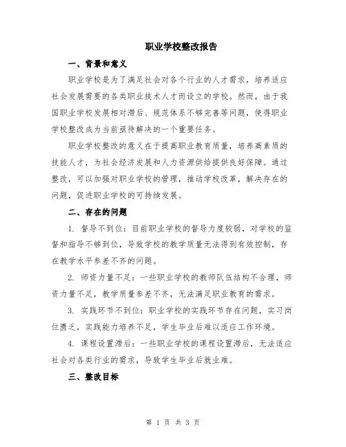 职业学校整改报告