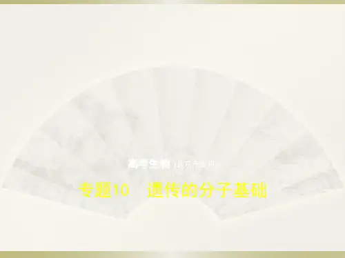 2019版高考生物(5年高考+3年模拟)精品课件北京专版：专题10 遗传的分子基础(共116张PPT)
