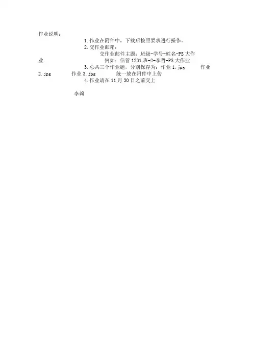 PS大作业要求