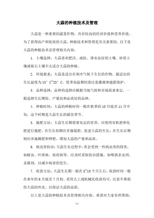 大蒜的种植技术及管理