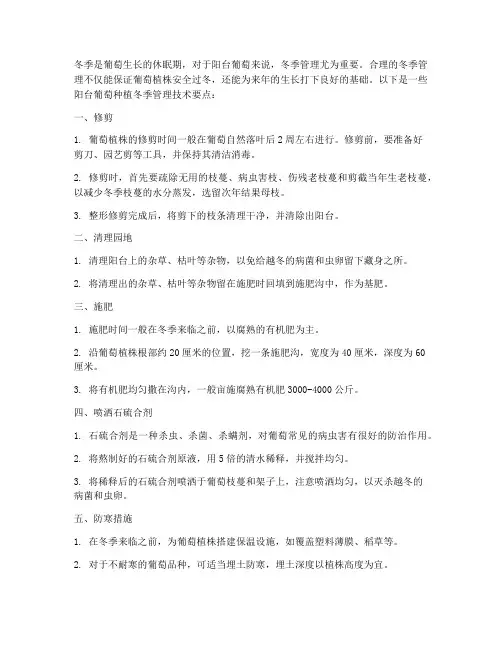 阳台葡萄种植冬季管理技术