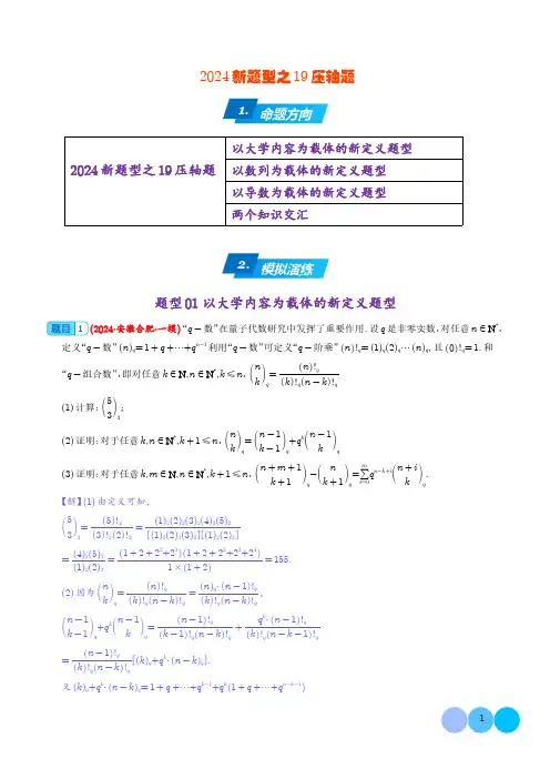 2024年高考数学新题型之19题压轴题专项汇编(解析版)