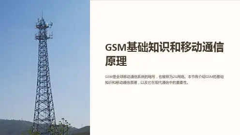 GSM基础知识和移动通信原理
