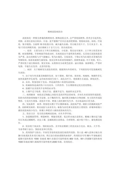 桃树流胶病防治