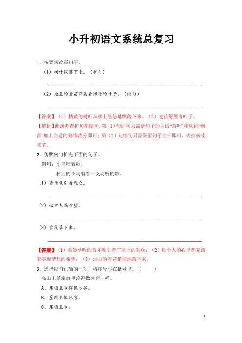小升初系统总复习 扩句缩句仿句