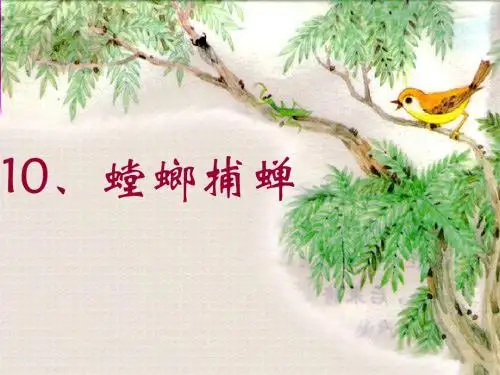 《螳螂捕蝉》PPT课件