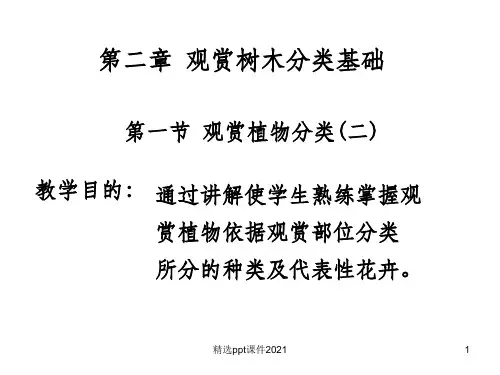 园林植物分类ppt课件