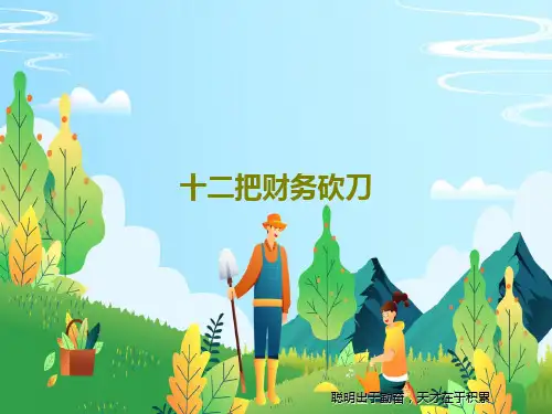 十二把财务砍刀共38页PPT