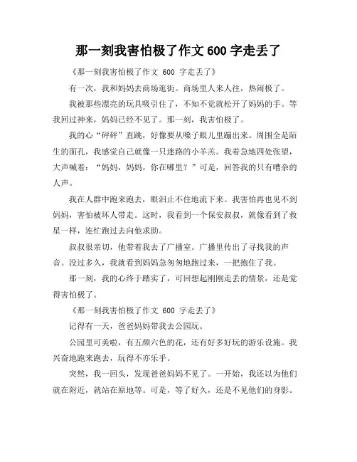 那一刻我害怕极了作文600字走丢了