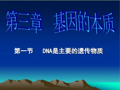 高中生物必修2第3章 基因的本质