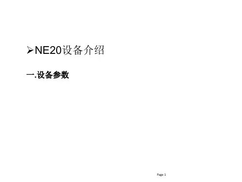 NE20E路由器日常维护培训-设备