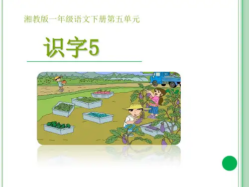 (完整)一级下语文课件识字湘教版3精品PPT资料精品PPT资料